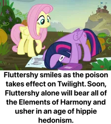 Size: 768x852 | Tagged: semi-grimdark, derpibooru import, edit, edited screencap, screencap, fluttershy, twilight sparkle, twilight sparkle (alicorn), alicorn, pegasus, pony, g4, the hooffields and mccolts, caption, duo, duo female, female, image, image macro, mare, my little pony, png, ponestrip, text