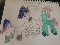 Size: 4032x3024 | Tagged: safe, artist:batman714, derpibooru import, earth pony, pony, unicorn, g5, my little pony: tell your tale, duo, duo female, female, horn, image, jpeg, little rock, mare, minty skylark, photo, traditional art