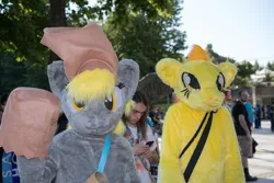 Size: 1920x1281 | Tagged: safe, derpibooru import, derpy hooves, spitfire, human, g4, 2016, bag, duo focus, fursuit, galacon, image, irl, irl human, jpeg, outdoors, photo, ponysuit