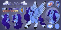 Size: 6000x3000 | Tagged: safe, artist:dewdropinn, derpibooru import, oc, oc:airheart, pegasus, pony, braid, coat markings, colored legs, ear fluff, facial scar, hair over one eye, hooves, image, jewelry, locket, male, necklace, png, ponytail, reference sheet, scar, socks (coat marking), spread wings, stallion, wings