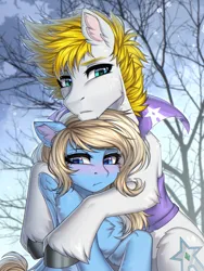 Size: 1920x2553 | Tagged: safe, artist:hakaina, derpibooru import, ponerpics import, oc, oc:alabastor amril, oc:lusty symphony, unofficial characters only, earth pony, pegasus, pony, blushing, clothes, commission, female, image, jacket, male, male and female, mare, png, protecting, shipping, snow, stallion, wholesome, ych result