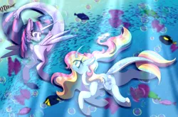 Size: 4992x3290 | Tagged: safe, artist:bryonythewolf, derpibooru import, twilight sparkle, twilight sparkle (alicorn), oc, oc:prism rain, unofficial characters only, alicorn, fish, hybrid, original species, pony, seapony (g4), shark, shark pony, unicorn, g4, blushing, bubble, concave belly, crepuscular rays, curved horn, cute, digital art, dorsal fin, ear fluff, eyelashes, fangs, female, fin, fin wings, fins, fish tail, flowing mane, flowing tail, hooves, horn, image, looking at each other, looking at someone, mare, multicolored mane, multicolored tail, ocean, png, scales, seaponified, seapony twilight, signature, species swap, sunlight, swimming, tail, teeth, underwater, water, wings