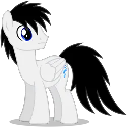 Size: 4498x4488 | Tagged: safe, artist:creedyboy124, derpibooru import, oc, oc:shane park, unofficial characters only, pegasus, pony, folded wings, image, looking back, male, pegasus oc, png, simple background, stallion, transparent background, vector, wings