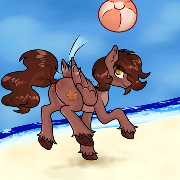 Size: 2000x2000 | Tagged: safe, artist:nikkolover12, derpibooru import, oc, oc:autumn rosewood, unofficial characters only, pegasus, pony, beach, beach ball, butt, commission, hooves, image, male, ocean, outdoors, pegasus oc, plot, png, sky, solo, stallion, underhoof, unshorn fetlocks, water, wings, ych result