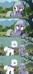 Size: 2063x4642 | Tagged: safe, artist:dashiesparkle, artist:tomfraggle, derpibooru import, edit, double diamond, limestone pie, earth pony, pony, g4, 2025, be careful what you wish for, comic, dialogue, february, female, hearts and hooves day, holiday, image, limediamond, limestone pie is not amused, male, mare, not sure if want, png, rock farm, shipping, stallion, straight, unamused, valentine's day