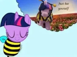 Size: 1080x805 | Tagged: artist needed, source needed, safe, derpibooru import, twilight sparkle, bee, bee pony, insect, original species, pony, unicorn, g4, clothes, costume, exploitable meme, horn, image, just bee yourself, meme, plushie, png, solo, species swap, thought bubble