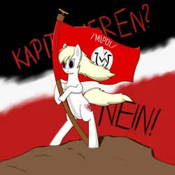 Size: 3000x3000 | Tagged: safe, artist:kroatische doge, derpibooru import, oc, oc:aryanne, unofficial characters only, earth pony, pony, /mlpol/, female, flag, image, mare, nazi, png, solo, swastika, text