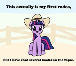 Size: 841x730 | Tagged: safe, artist:purblehoers, derpibooru import, twilight sparkle, pony, unicorn, g4, bookhorse, cowboy hat, female, fence, hat, horn, image, looking at you, mare, ms paint, png, rodeo, sitting, sky, smiling, solo, text, unicorn twilight