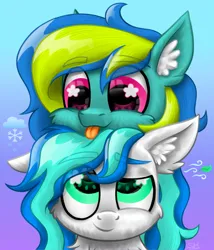 Size: 3000x3500 | Tagged: safe, artist:sunamoonmlp, derpibooru import, oc, oc:leaf storm, oc:snow storm, unofficial characters only, pegasus, pony, g4, bust, cheek fluff, chest fluff, commission, cute, derpibooru exclusive, ear fluff, gradient background, image, male, pfp, png, portrait, smiling, stallion, tongue out, wingding eyes