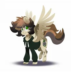 Size: 2055x2088 | Tagged: safe, artist:28gooddays, derpibooru import, oc, oc:tayer, unofficial characters only, pegasus, pony, clothes, high res, hoodie, image, jpeg, lineless, male, pegasus oc, simple background, smiling, solo, spread wings, stallion, white background, wings