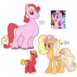 Size: 2000x2000 | Tagged: safe, artist:texacity, derpibooru import, big macintosh, princess cadance, oc, oc:valentino, unnamed oc, alicorn, earth pony, pegasus, pony, g4, brother and sister, female, image, jpeg, male, mare, missing accessory, offspring, parent:big macintosh, parent:princess cadance, parents:cadmac, screencap reference, siblings, simple background, stallion, white background