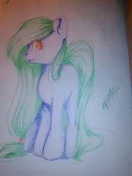 Size: 1200x1600 | Tagged: safe, artist:dorry, derpibooru import, oc, unofficial characters only, earth pony, pony, colored pencil drawing, earth pony oc, full body, gift art, green mane, image, jpeg, old art, profile, signature, solo, standing, traditional art