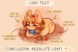 Size: 2000x1345 | Tagged: safe, artist:polnocnykot, derpibooru import, oc, oc:morning latte, pony, unicorn, ^^, behaving like a cat, big ears, blushing, cheek fluff, chest fluff, clothes, commission, cute, ear fluff, ears up, eyebrows, eyebrows visible through hair, eyes closed, fluffy, grass, horn, image, jpeg, lying down, ponyloaf, prone, relaxing, scarf, smiling, solo, text, ych example, ych result, your character here