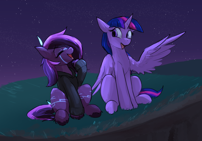 Size: 3104x2168 | Tagged: safe, artist:candel, derpibooru import, twilight sparkle, twilight sparkle (alicorn), oc, oc:plexa, alicorn, earth pony, pony, g4, body markings, cliff, clothes, facial markings, female, field, hoodie, horn, image, laughing, mare, night, png, smiling, smiling at someone, stars, unshorn fetlocks, wings