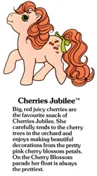 Size: 550x1000 | Tagged: safe, derpibooru import, official, cherries jubilee, earth pony, pony, g1, bow, cherries cuteilee, closed mouth, cute, female, g1 backstory, image, jpeg, mare, my little pony fact file, smiling, solo, tail, tail bow, text, walking