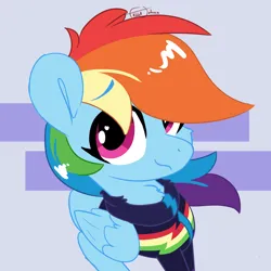 Size: 1600x1600 | Tagged: safe, artist:fakkajohan, derpibooru import, rainbow dash, pegasus, pony, g4, abstract background, chest fluff, clothes, equestria girls outfit, female, image, jacket, looking at you, png, signature, simple background, solo, winter outfit