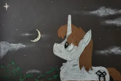 Size: 2048x1366 | Tagged: safe, artist:hoofclid, derpibooru import, oc, oc:hoofclid, unofficial characters only, pony, unicorn, crescent moon, freckles, horn, image, jpeg, looking up, male, moon, night, solo, stallion, starry night