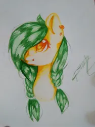 Size: 1200x1600 | Tagged: safe, artist:dorry, derpibooru import, oc, unofficial characters only, pony, bust, colored pencil drawing, ear piercing, earring, female, female oc, green mane, image, jewelry, jpeg, mare, mare oc, one eye covered, piercing, ponytail, portrait, simple background, solo, traditional art, white background