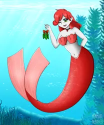 Size: 1749x2106 | Tagged: safe, artist:mermaidnerin, derpibooru import, oc, oc:pearl rose, human, mermaid, g4, bra, clothes, fish tail, humanized, image, mermaid tail, mermaidized, mistletoe, png, seashell, seashell bra, solo, species swap, tail, underwater, underwear, water