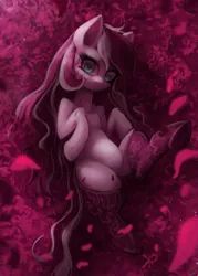 Size: 2279x3188 | Tagged: safe, artist:kjara-draws, artist:raikoh, derpibooru import, oc, oc:rosaria, unofficial characters only, earth pony, pony, clothes, female, flower, image, jpeg, mare, romantic, rose, socks, solo, sultry pose