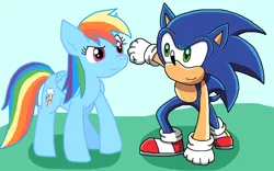 Size: 1131x707 | Tagged: safe, artist:cmara, derpibooru import, rainbow dash, hedgehog, pegasus, g4, crossover, duo, female, image, jpeg, male, sonic the hedgehog, sonic the hedgehog (series)