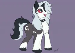 Size: 3508x2480 | Tagged: safe, artist:reminic, oc, ponified, unofficial characters only, earth pony, hellhound, pony, chest fluff, choker, crossover, cute, cutie mark, female, goth, hellhound pony, helluva boss, image, jpeg, looking up, loona (helluva boss), mare, open smile, simple background, solo, spiked choker, tail, unshorn fetlocks