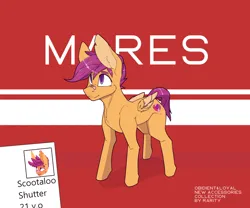 Size: 3000x2500 | Tagged: safe, artist:chapaevv, derpibooru import, scootaloo, pegasus, pony, series:weekend pets, g4, band-aid on nose, bandaid, female, image, older, older scootaloo, png, solo, text