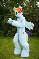 Size: 827x1242 | Tagged: safe, artist:tinderboxer, derpibooru import, rainbow dash, g4, fursuit, image, irl, jpeg, outdoors, photo, ponysuit, solo