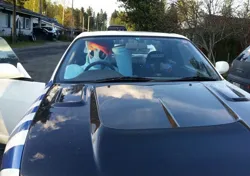 Size: 827x581 | Tagged: safe, artist:tinderboxer, derpibooru import, rainbow dash, g4, car, fursuit, image, irl, jpeg, outdoors, photo, ponysuit, solo