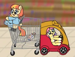 Size: 2332x1768 | Tagged: safe, artist:craftycirclepony, derpibooru import, oc, oc:aimless, oc:crafty circles, unofficial characters only, pony, bow, bread, car, clothes, coat markings, cute, duo, excited, female, filly, foal, food, freckles, grocery store, hair bow, happy, image, open mouth, png, pointing, raised hoof, shopping, shopping cart, sitting, socks, socks (coat marking), starry eyes, store, sweater, wingding eyes, wonder bread