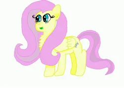 Size: 4096x2897 | Tagged: safe, artist:glenn20163075, derpibooru import, fluttershy, pegasus, pony, g4, chest fluff, female, folded wings, green tongue, image, jpeg, mare, simple background, solo, tail, tongue out, white background, wings