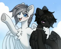 Size: 2560x2088 | Tagged: safe, artist:konejo, derpibooru import, oc, unofficial characters only, bird, pegasus, pony, chest fluff, choker, closed mouth, cloud, duo, ear fluff, eyes open, fangs, gritted teeth, image, jpeg, lidded eyes, looking at you, male, open mouth, pegasus oc, raised hoof, signature, sky, solo, solo male, spread wings, stallion, teeth, underhoof, wings