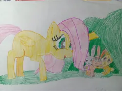 Size: 4096x3072 | Tagged: safe, artist:victoric1993, derpibooru import, fluttershy, pegasus, pony, rabbit, g4, the cutie mark chronicles, animal, female, filly, filly fluttershy, folded wings, high res, image, jpeg, my little pony, scene interpretation, simple background, traditional art, white background, wings, younger