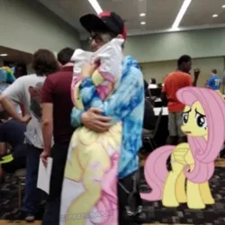 Size: 1080x1080 | Tagged: safe, derpibooru import, editor:zipkey.crunchy, fluttershy, human, pegasus, pony, g4, body pillow, female, group, image, indoors, irl, irl human, jpeg, mare, needs more jpeg, photo, ponies in real life
