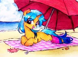 Size: 680x496 | Tagged: safe, artist:liaaqila, derpibooru import, oc, oc:solar wave, unofficial characters only, crab, pony, unicorn, beach, bisexual pride flag, chest fluff, clothes, cloud, cute, horn, image, jpeg, leg warmers, lying down, lying on the ground, ocean, on ground, outdoors, pride, pride flag, purple eyes, sand, shell, smiling, summer, umbrella, water