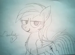 Size: 4033x2989 | Tagged: safe, artist:dhm, derpibooru import, rainbow dash, g4, cursive writing, cute, faic, female, heart, image, jpeg, looking at you, monochrome, pencil drawing, signature, sketch, smug, smugdash, solo, text, traditional art