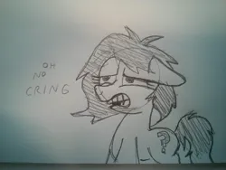 Size: 4160x3120 | Tagged: safe, artist:dhm, derpibooru import, oc, oc:anonfilly, earth pony, pony, condescending, cringing, disgusted, female, filly, foal, funny, image, insult, jpeg, lined paper, lol, meme, monochrome, oh no, pencil drawing, reaction image, sketch, slur, solo, swearing, text, traditional art, vulgar