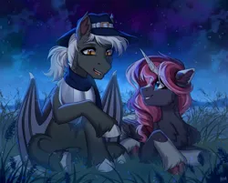 Size: 2048x1649 | Tagged: safe, artist:hakaina, ponerpics import, oc, unofficial characters only, pony, duo, female, image, jpeg, looking at each other, male, mare, night, open mouth, stallion