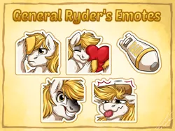 Size: 2000x1500 | Tagged: safe, artist:lupiarts, derpibooru import, oc, oc:general ryder, unofficial characters only, pony, emotes, image, jpeg, solo