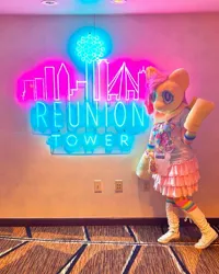 Size: 1080x1347 | Tagged: safe, artist:cottonjellyjj, derpibooru import, fluttershy, g4, clothes, fursuit, image, irl, jpeg, photo, ponysuit, skirt, solo