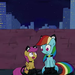 Size: 3000x3000 | Tagged: safe, artist:widelake, derpibooru import, rainbow dash, scootaloo, pegasus, g4, animal costume, cat costume, clothes, costume, duo, duo female, female, image, night, png, skyscraper