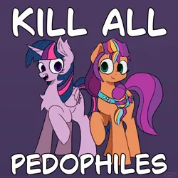 Size: 2000x2000 | Tagged: safe, artist:simpledoggo, derpibooru import, sunny starscout, twilight sparkle, twilight sparkle (alicorn), alicorn, earth pony, pony, g4, g5, bag, based, dissonant caption, duo, duo female, female, image, jpeg, looking at each other, looking at someone, mane stripe sunny, mare, meme, mouthpiece, op is a duck, op is trying to start shit, open mouth, pedophile, pedophilia, purple background, raised hoof, simple background, sunny and her heroine, text, unshorn fetlocks