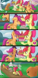 Size: 3541x7300 | Tagged: safe, artist:db, artist:dbcreativearts, artist:playful wings, derpibooru import, apple bloom, ripley, scootaloo, zippoorwhill, dog, earth pony, pegasus, pony, forever filly, g4, apple bloom's bow, ball, behaving like a dog, bow, butt, comic, cute, cutie mark, eyes closed, eyes open, female, filly, foal, hair bow, image, mouth hold, my little pony, open mouth, outdoors, plot, png, question mark, raised hoof, scootapup, sitting, spread wings, the cmc's cutie marks, underhoof, wings