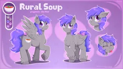 Size: 1920x1080 | Tagged: safe, artist:willoillo, derpibooru import, oc, oc:rural soup, unofficial characters only, pegasus, art, commission, emotes, illustration, image, pegasus oc, png, pronouns, reference sheet, wings