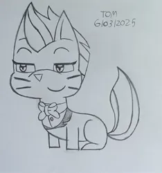 Size: 1950x2086 | Tagged: safe, artist:tom artista, derpibooru import, zipp storm, cat, g5, my little pony: tell your tale, animal, catified, drawing, expressions, facial expressions, female, image, jpeg, sketch, smug, solo, species swap, traditional art