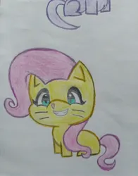 Size: 3016x3844 | Tagged: safe, artist:tom artista, derpibooru import, fluttershy, cat, g4, animal, animal in mlp form, catified, drawing, female, image, jpeg, my little pony, smiley face, solo, species swap, traditional art