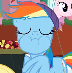 Size: 1183x1207 | Tagged: safe, derpibooru import, screencap, applejack, rainbow dash, tender brush, winter lotus, earth pony, pegasus, pony, g4, image, jpeg, outdoors