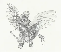 Size: 2449x2116 | Tagged: safe, artist:sensko, gryphon, armor, flying, grayscale, helmet, horned helmet, image, jpeg, monochrome, pencil drawing, shield, simple background, sketch, solo, spear, traditional art, viking, viking helmet, weapon, white background