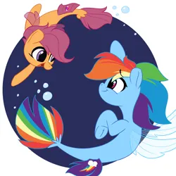 Size: 2400x2400 | Tagged: safe, artist:fakkajohan, derpibooru import, rainbow dash, scootaloo, pegasus, pony, sea pony, seapony (g4), g4, bubble, dorsal fin, duo, female, fin wings, fins, fish tail, frog (hoof), image, ocean, png, seaponified, seapony rainbow dash, smiling, species swap, spread wings, swimming, tail, underhoof, underwater, water, wings