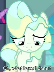 Size: 450x600 | Tagged: safe, derpibooru import, edit, edited screencap, editor:jaredking779, screencap, twilight sparkle, vapor trail, pegasus, pony, g4, season 6, top bolt, caption, cropped, female, frown, guilty, image, indoors, looking down, mare, my little pony, png, question, solo, text